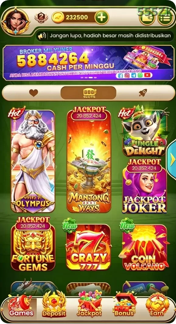 Cuplikan layar SVIPWINS — pengaturan akun